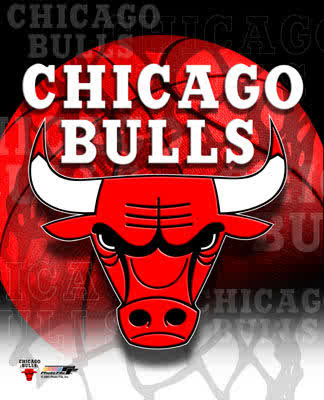 chicago bulls 2011 logo. that my Chicago Bulls car